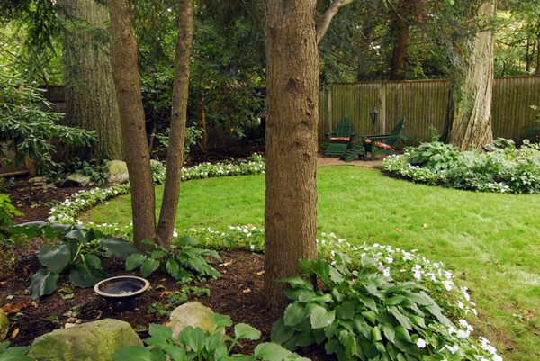 Garden Design Ideas for Limited Space